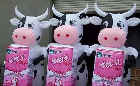 安次牛奶厂广告气模
